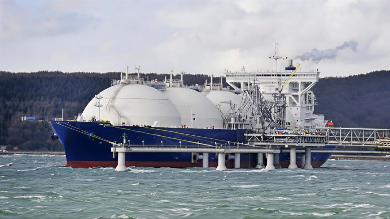 WhatsApp Image 2025-11-29 at 12.18