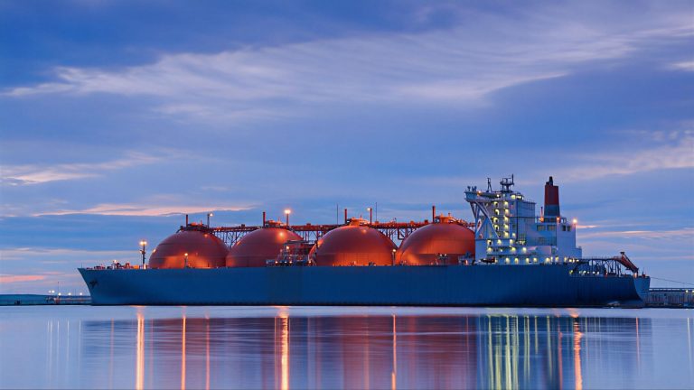 WhatsApp Image 2025-11-29 at 12.18